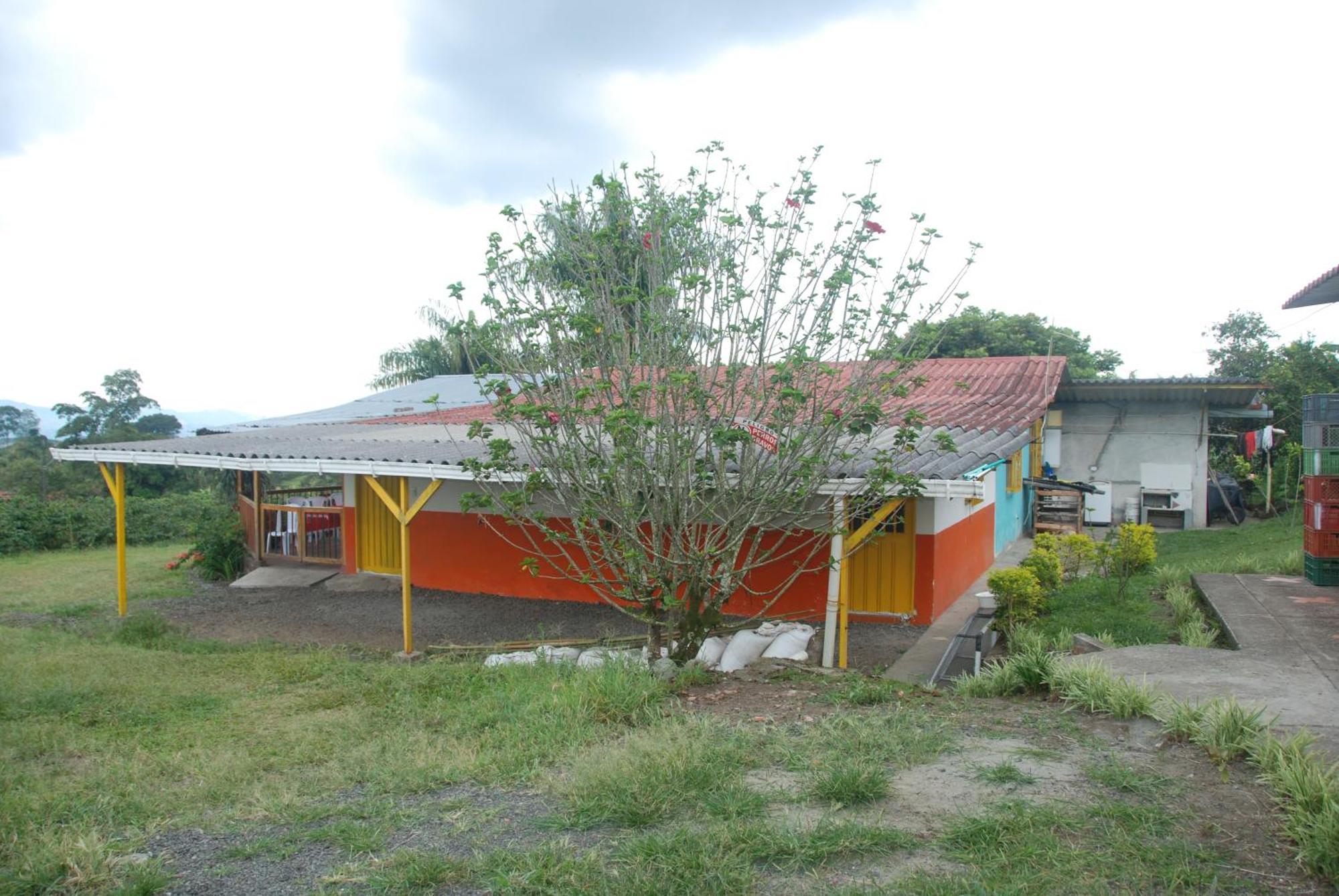 Finca En El Quindio Arrullo Cafetero Quimbaya Eksteriør billede